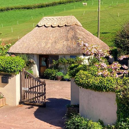 The Nest - Thatched Seaside Country Cottage For Two Stokeinteignhead エクステリア 写真