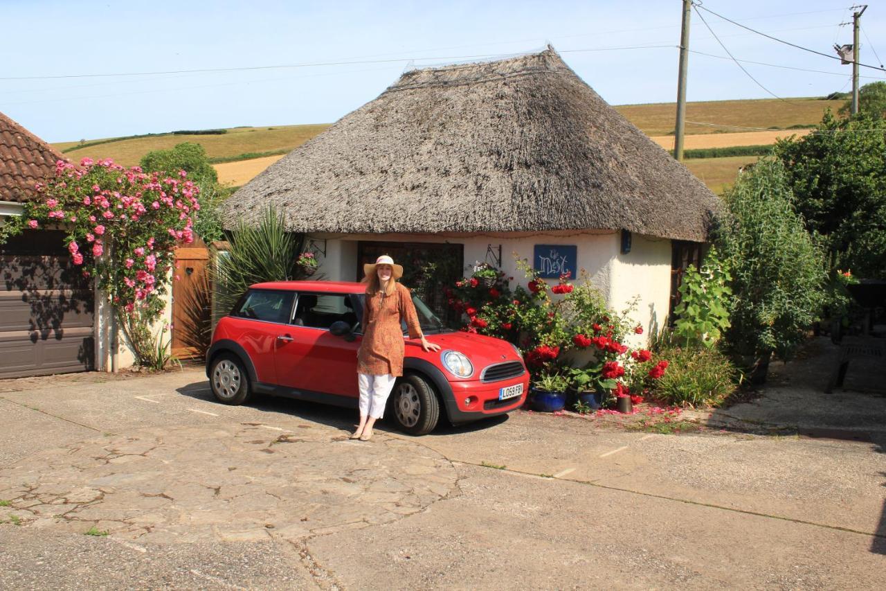 The Nest - Thatched Seaside Country Cottage For Two Stokeinteignhead エクステリア 写真