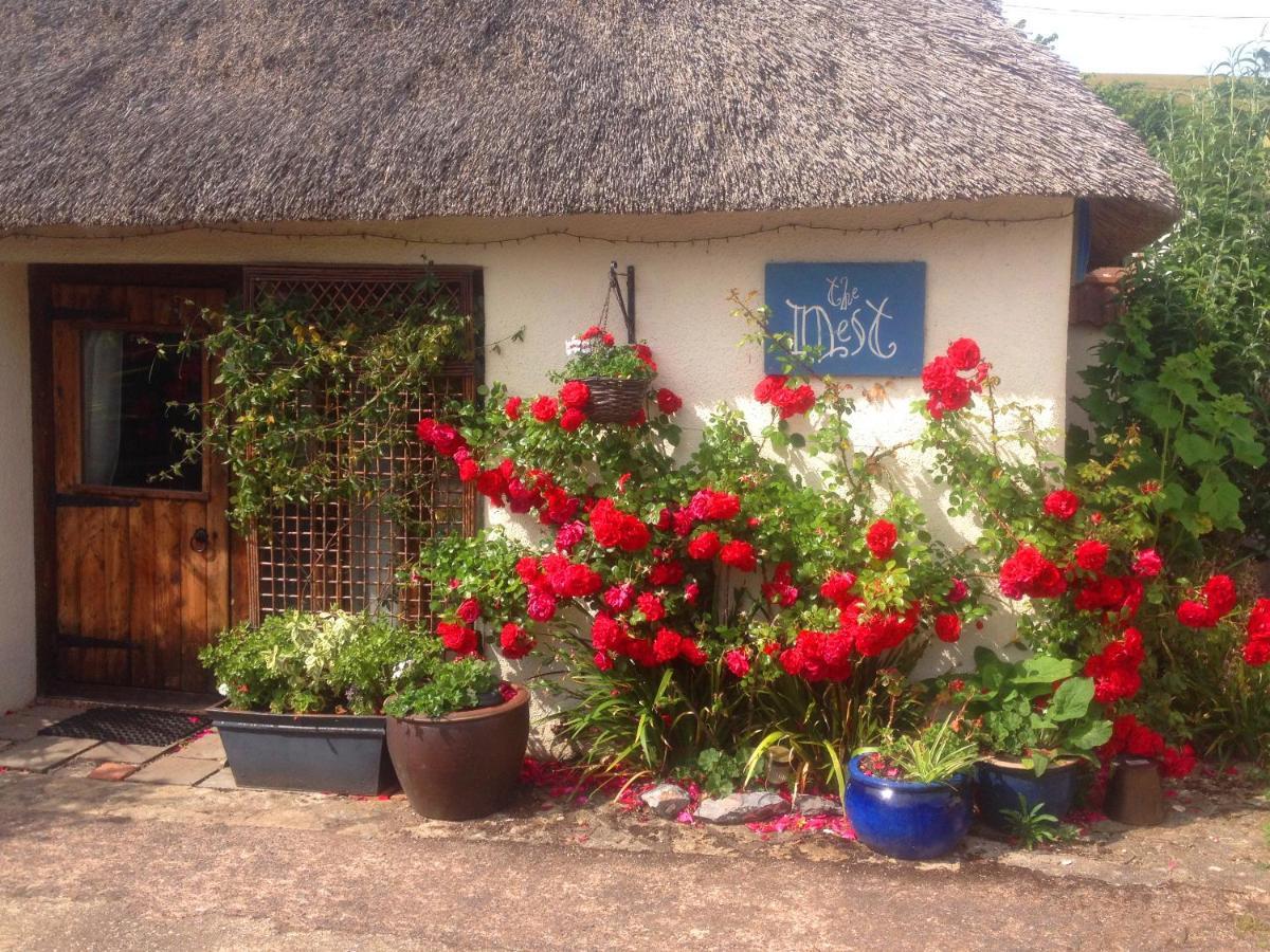 The Nest - Thatched Seaside Country Cottage For Two Stokeinteignhead エクステリア 写真