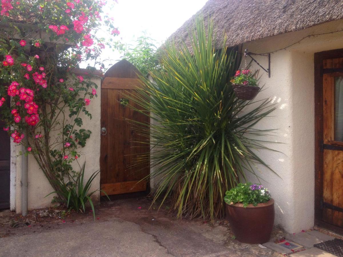 The Nest - Thatched Seaside Country Cottage For Two Stokeinteignhead エクステリア 写真