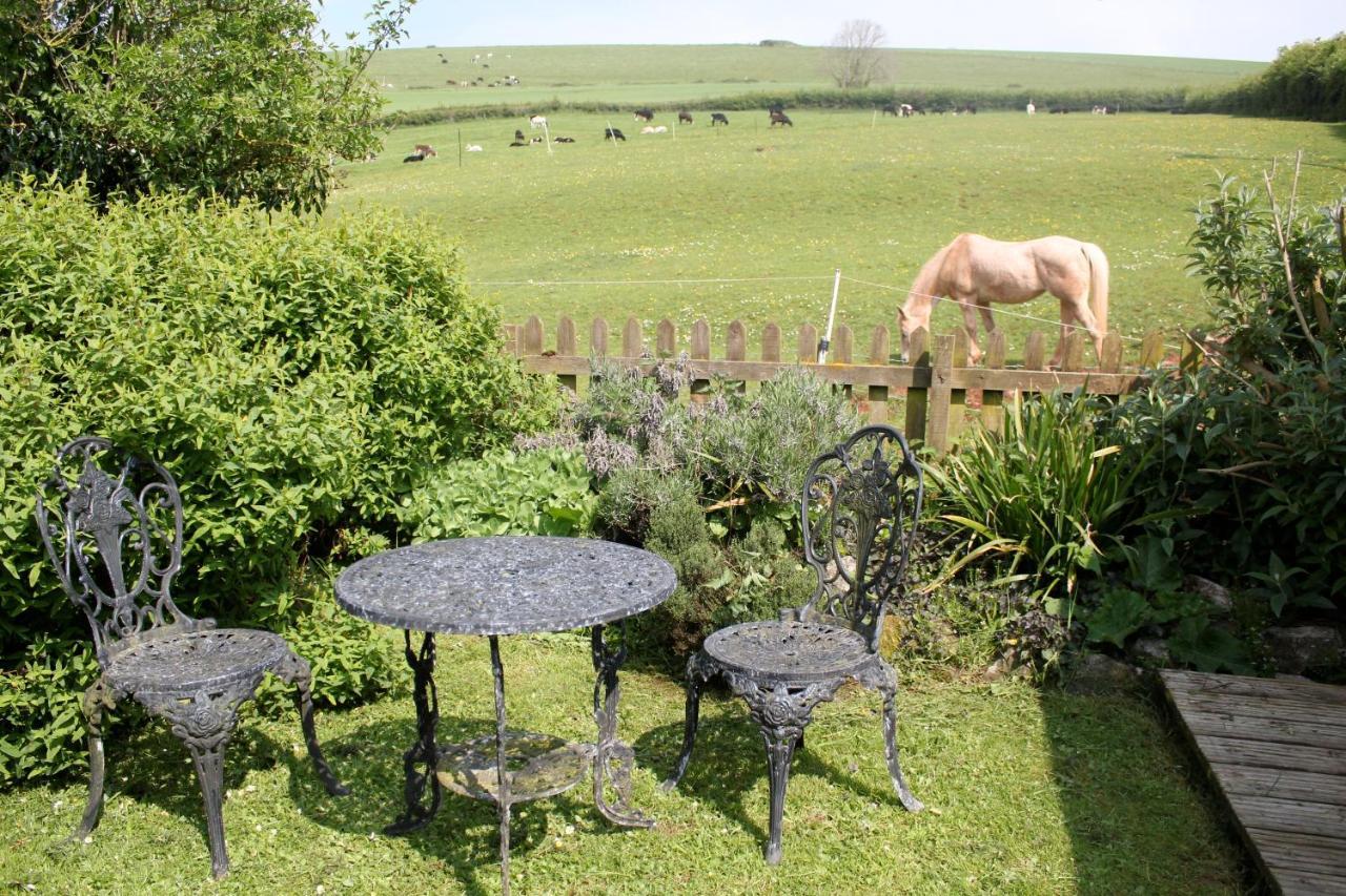 The Nest - Thatched Seaside Country Cottage For Two Stokeinteignhead エクステリア 写真