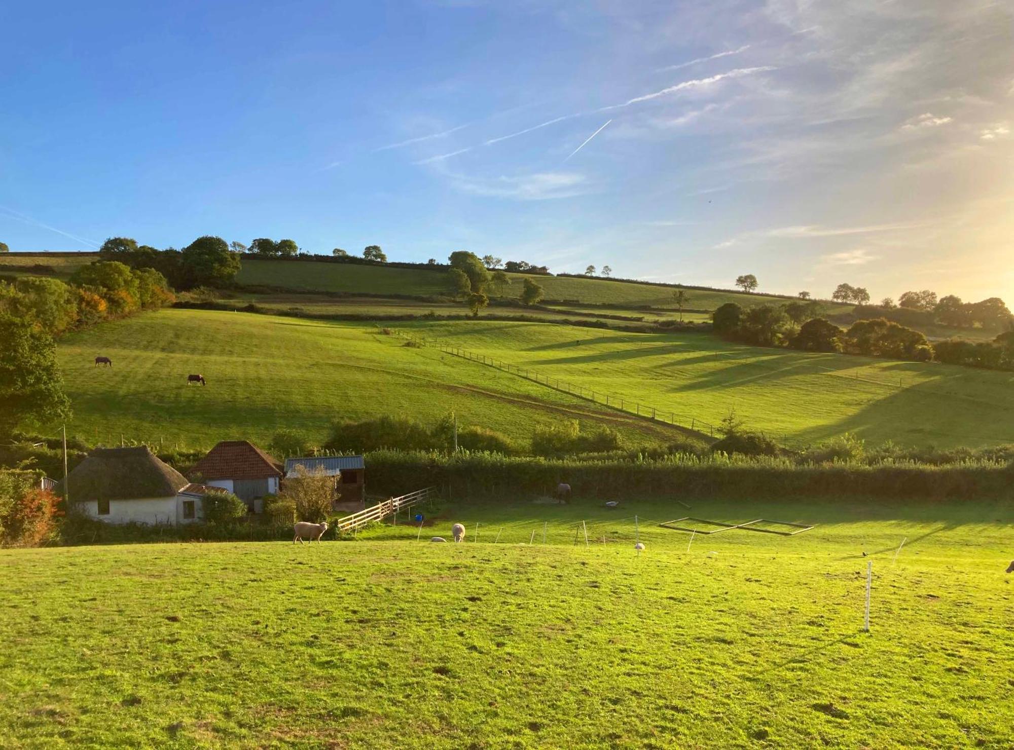 The Nest - Thatched Seaside Country Cottage For Two Stokeinteignhead エクステリア 写真