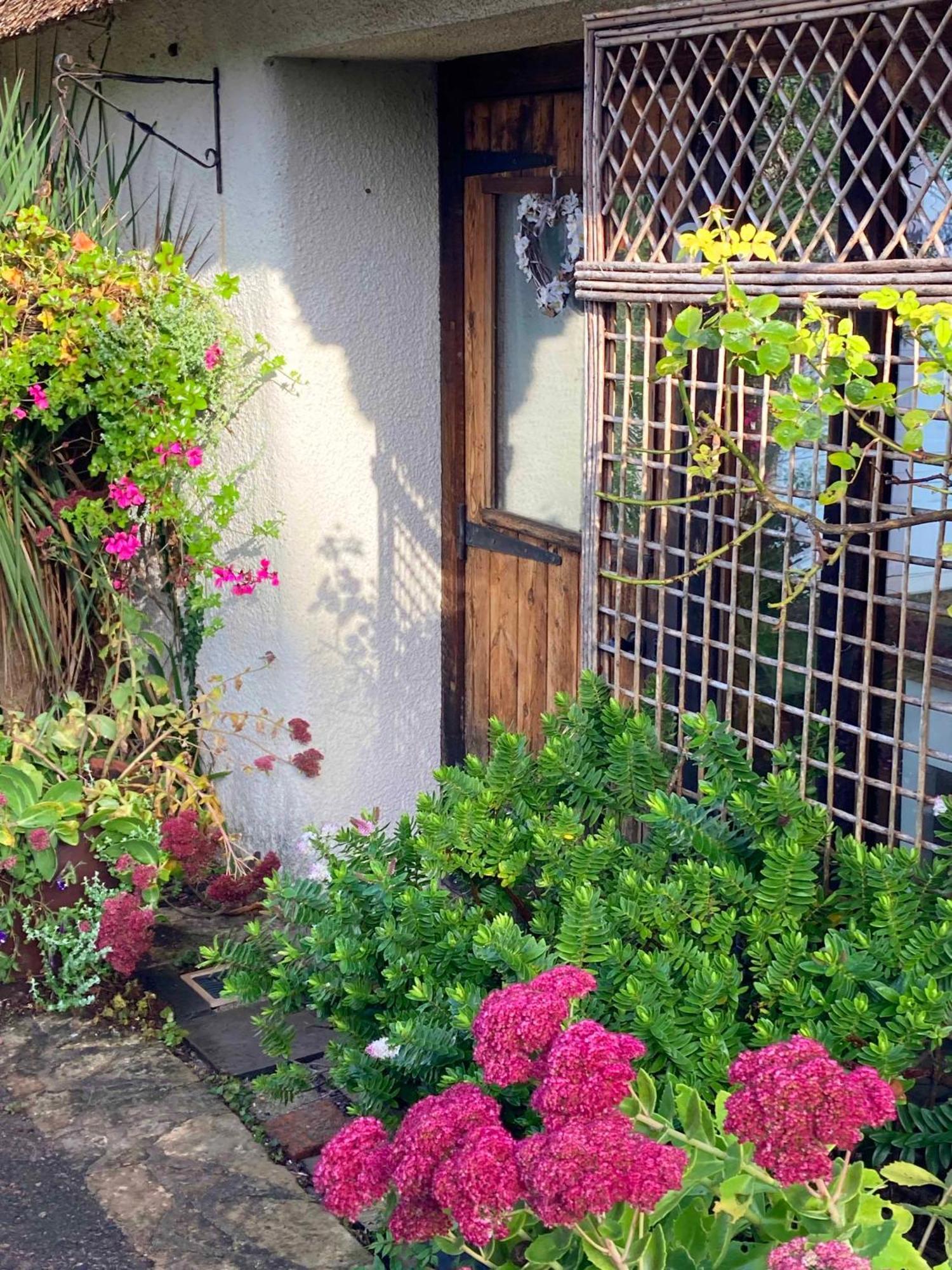 The Nest - Thatched Seaside Country Cottage For Two Stokeinteignhead エクステリア 写真