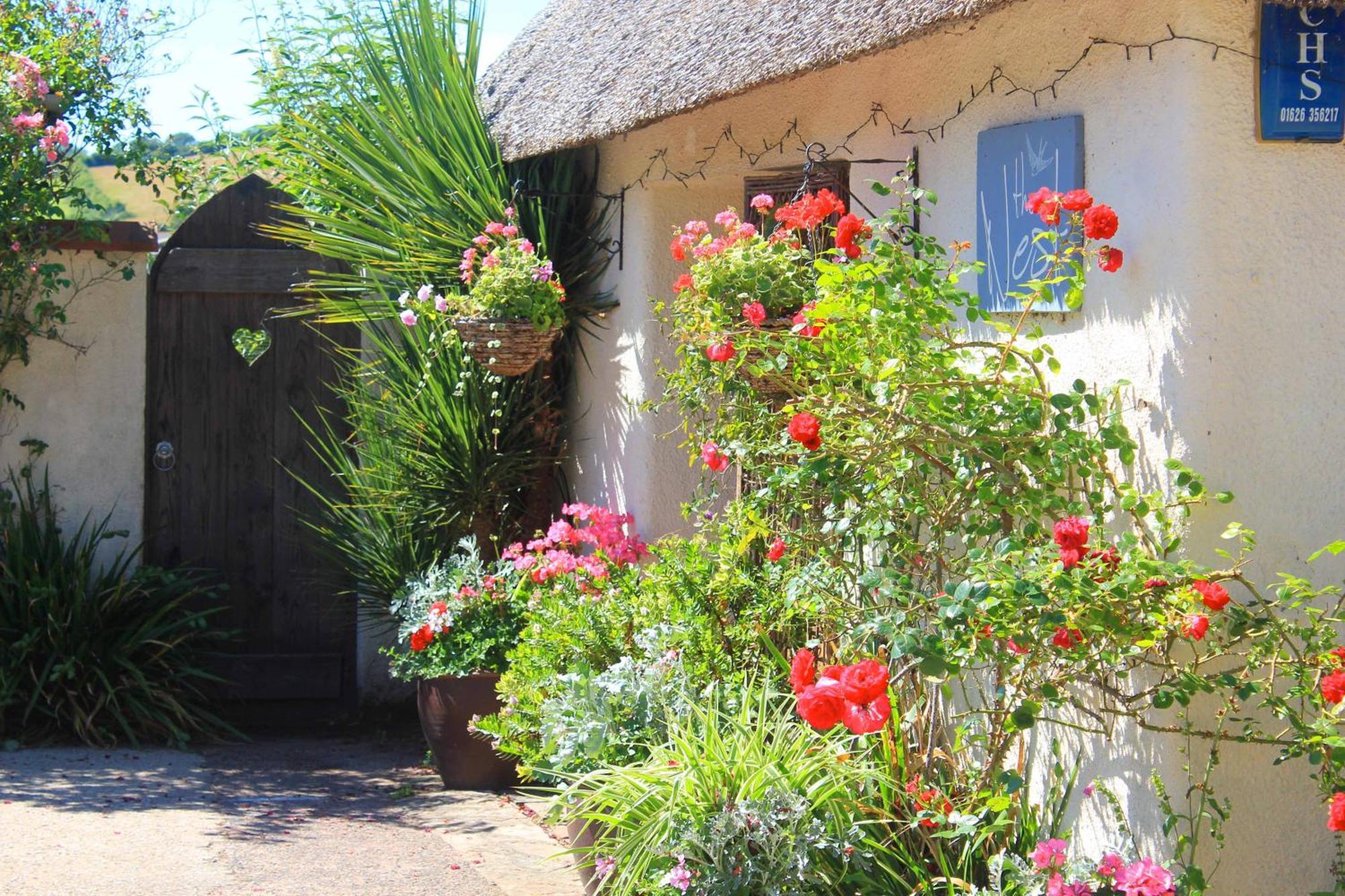 The Nest - Thatched Seaside Country Cottage For Two Stokeinteignhead エクステリア 写真
