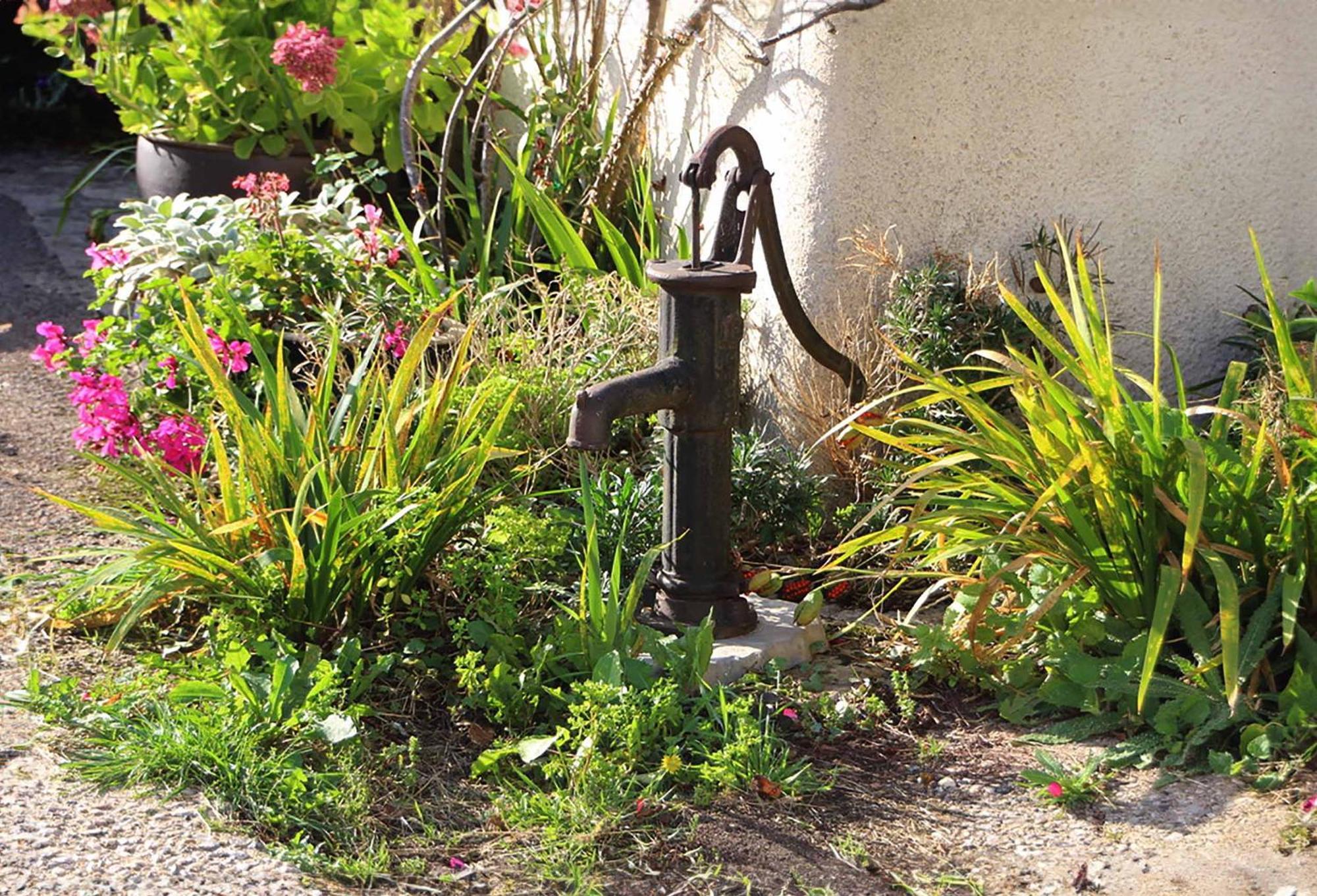The Nest - Thatched Seaside Country Cottage For Two Stokeinteignhead エクステリア 写真